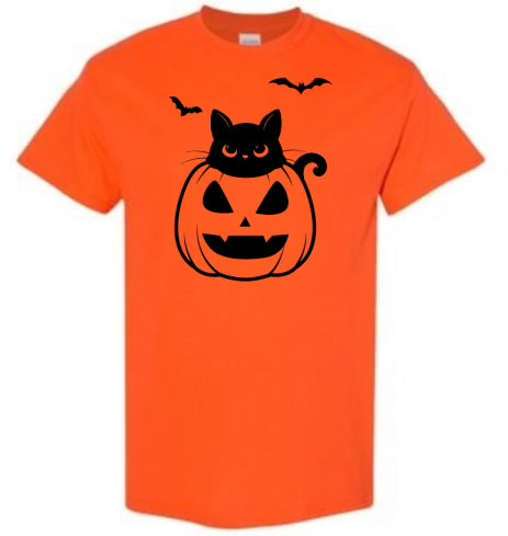 Cat in the pumpkin