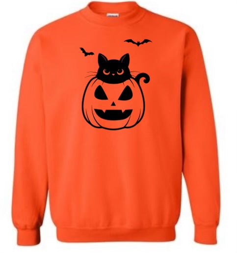 Cat in the pumpkin