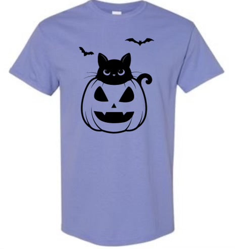 Cat in the pumpkin