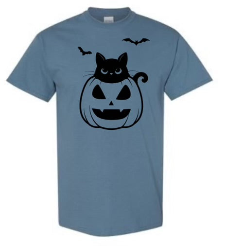 Cat in the pumpkin