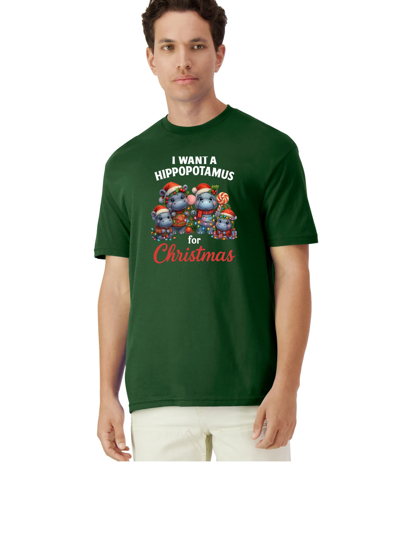 Hippopotamus for Christmas